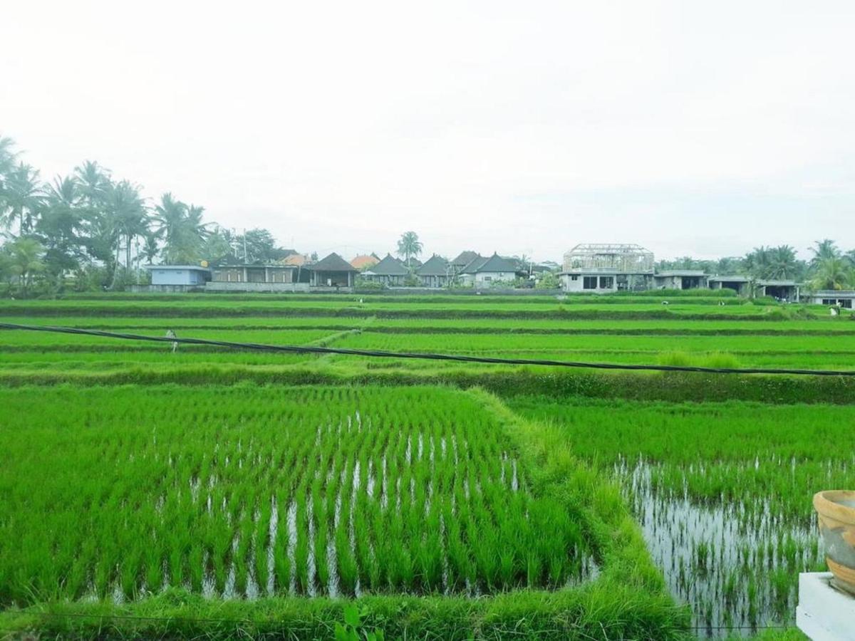 Tantra House Ubud Dış mekan fotoğraf